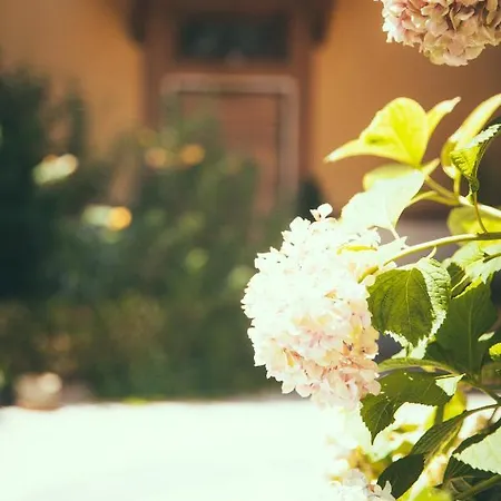 Lighthouse Trastevere Gasthuis Rome