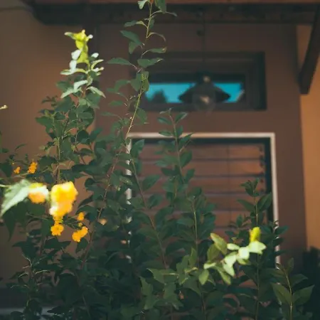 Lighthouse Trastevere Gasthuis 4*