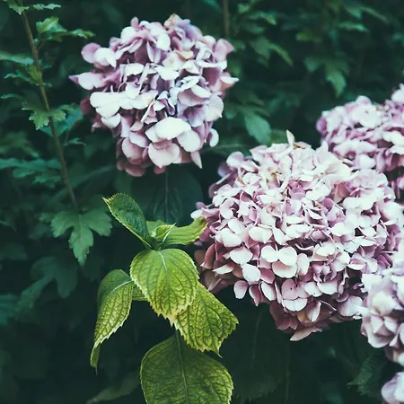 Guest house Lighthouse Trastevere 4*