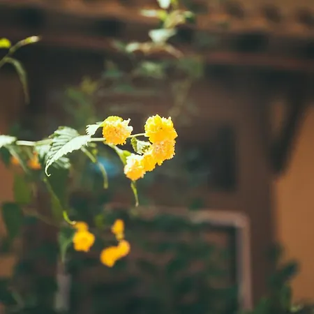 Guest house Lighthouse Trastevere 4*