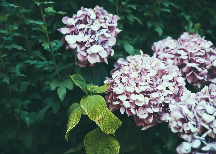 게스트하우스 Lighthouse Trastevere 4*