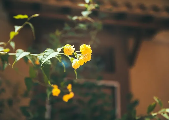 게스트하우스 Lighthouse Trastevere 4*