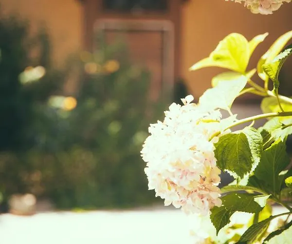 Lighthouse Trastevere Πανσιόν Ρώμη